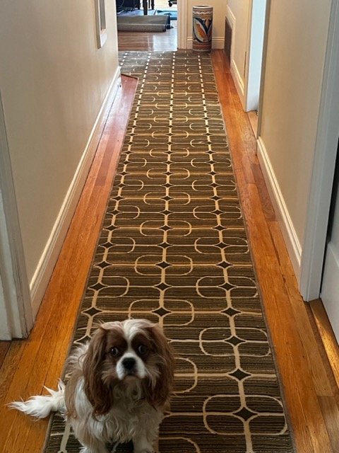 French Bros Grey Brown Rug For Hallway