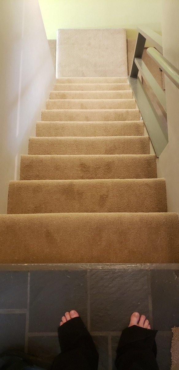 French Bros Finished Installation Of Carpet On Stairs