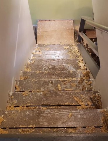 French Bros Carpet Removal