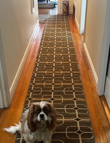 French Bros Grey Brown Rug For Hallway